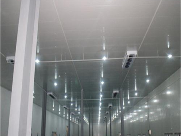 建造安裝食品低溫冷藏庫有哪些因素影響造價？